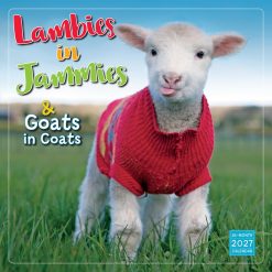 Lambies in Jammies & Goats in Coats 2027 Square