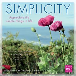 Simplicity Deborah DeWit 2027 Square
