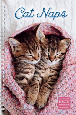 Cat Naps 2027 Engagement
