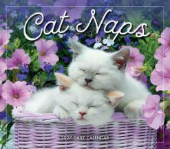 Cat Naps 2027 Boxed