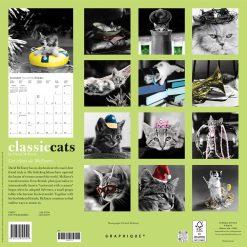 Alternative view of Classic Cats 2027 Square