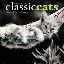 Classic Cats 2027 Square