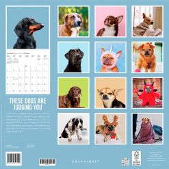 Alternative view of Judgmental Dogs 2027 Square