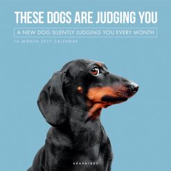 Judgmental Dogs 2027 Square