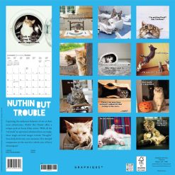 Alternative view of Nuthin But Trouble 2027 Square