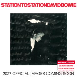 David Bowie Collector's Edition Record Sleeve 2027 Square