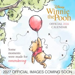 Winnie The Pooh 2027 Square