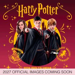 Harry Potter 2027 Mini