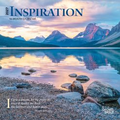 Inspiration 2027 Mini