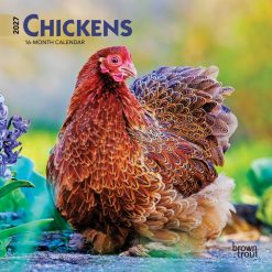 Chickens 2027 Mini