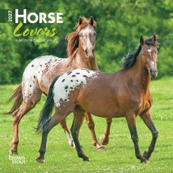 Horse Lovers 2027 Mini