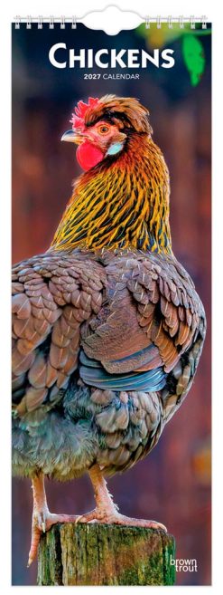 Chickens 2027 Slimline