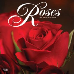 Roses 2027 Square