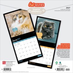 Alternative view of Cat Selfies 2027 Square