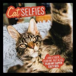 Cat Selfies 2027 Square