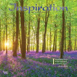 Inspiration 2027 Square FOIL