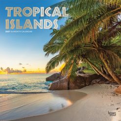 Tropical Islands 2027 Square FOIL