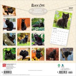 Alternative view of Black Cats 2027 Square FOIL