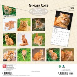 Alternative view of Ginger Cats 2027 Square