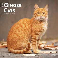 Ginger Cats 2027 Square