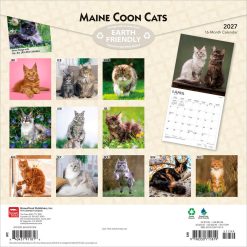 Alternative view of Maine Coon Cats 2027 Square