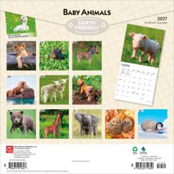 Alternative view of Baby Animals 2027 Square