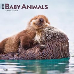 Baby Animals 2027 Square