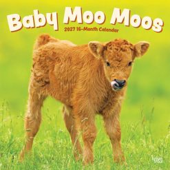 Baby Moo Moos 2027 Square