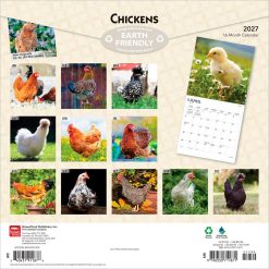 Alternative view of Chickens 2027 Square