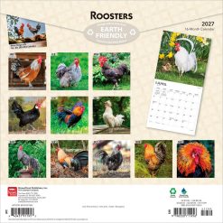 Alternative view of Roosters 2027 Square