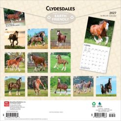 Alternative view of Clydesdales 2027 Square