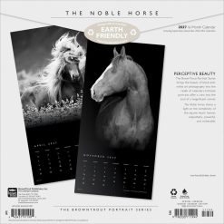 Alternative view of The Noble Horse, The BrownTrout Portrait Series 2027 Square