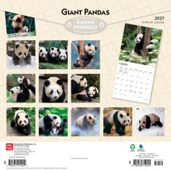 Alternative view of Giant Pandas 2027 Square