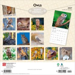 Alternative view of Owls 2027 Square