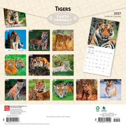 Alternative view of Tigers 2027 Square