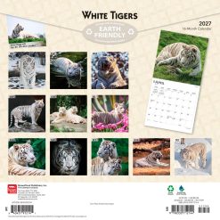Alternative view of White Tigers 2027 Square