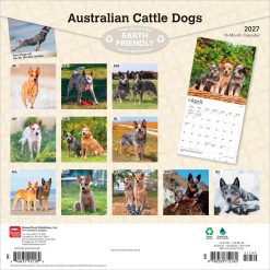 Alternative view of Australian Cattle Dogs 2027 Square