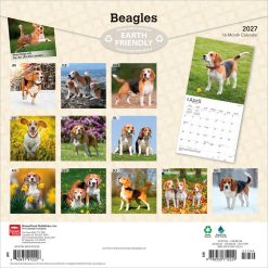 Alternative view of Beagles 2027 Square