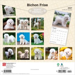 Alternative view of Bichon Frise 2027 Square