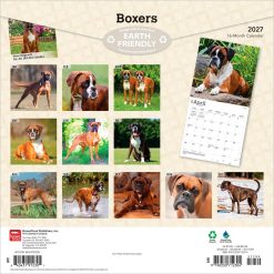 Alternative view of Boxers International Edition 2027 Square