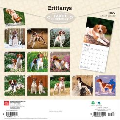 Alternative view of Brittanys 2027 Square