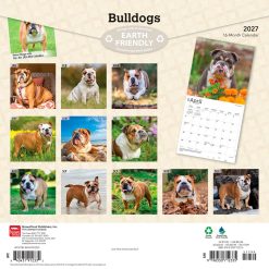Alternative view of Bulldogs 2027 Square