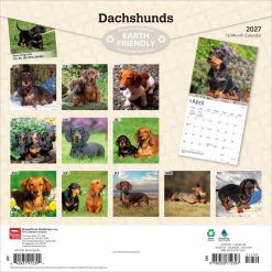 Alternative view of Dachshunds 2027 Square FOIL