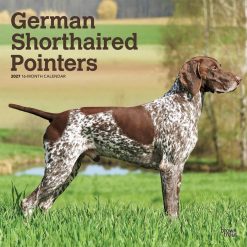 German Shorthaired Pointers 2027 Square
