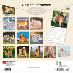 Alternative view of Golden Retrievers 2027 Square FOIL