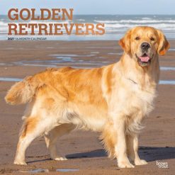 Golden Retrievers 2027 Square FOIL