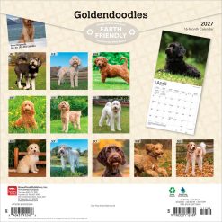 Alternative view of Goldendoodles 2027 Square