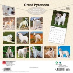 Alternative view of Great Pyrenees 2027 Square