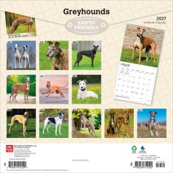 Alternative view of Greyhounds 2027 Square