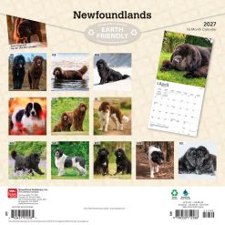 Alternative view of Newfoundlands 2027 Square